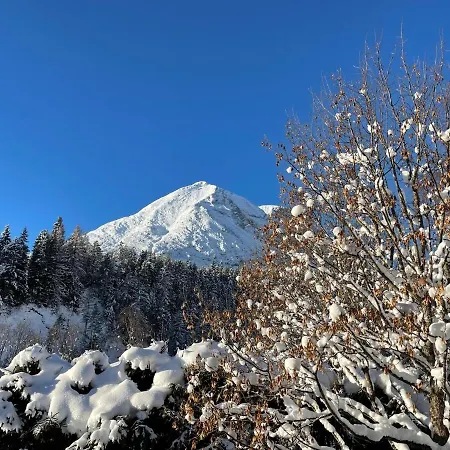 W1 Haus Ganghofer Daire *