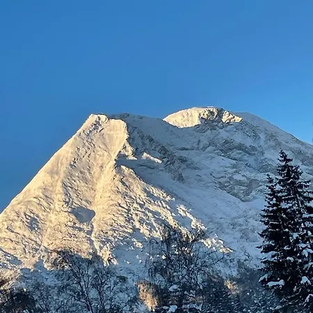 아파트 W1 Haus Ganghofer 로이타쉬